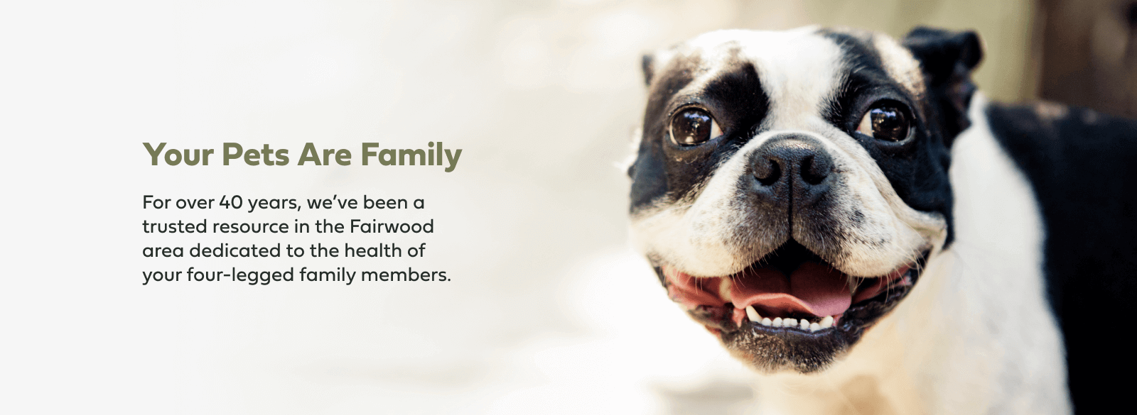Your Pets Are Family