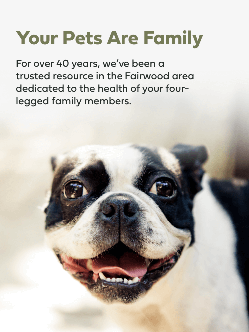 Your Pets Are Family