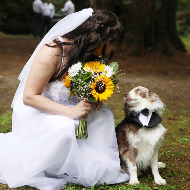 Alyssa, Veterinary Assistant